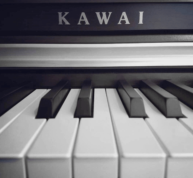 Kawai KDP-110